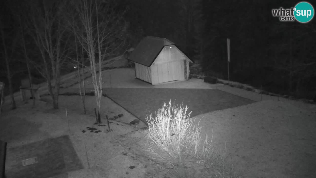 Web kamera Lukanja – Water Village | Pohorje Houses