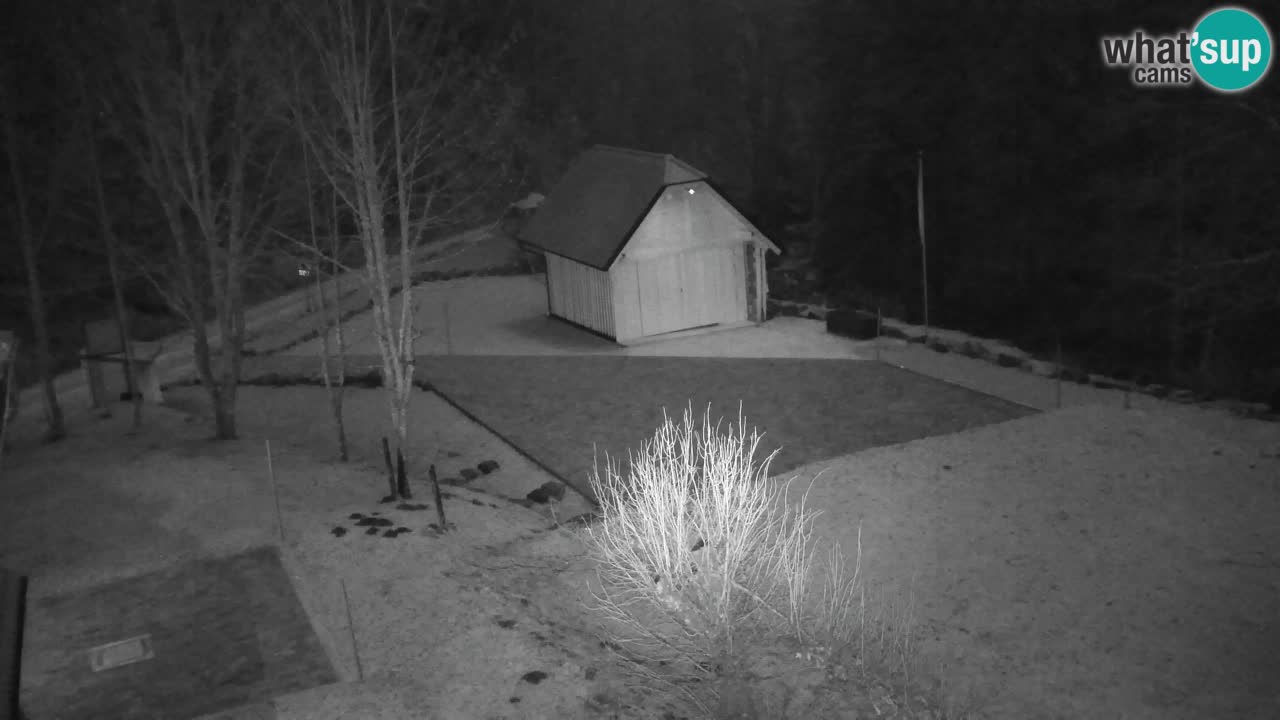 Webcam Lukanja – Water Village | Pohorje Houses