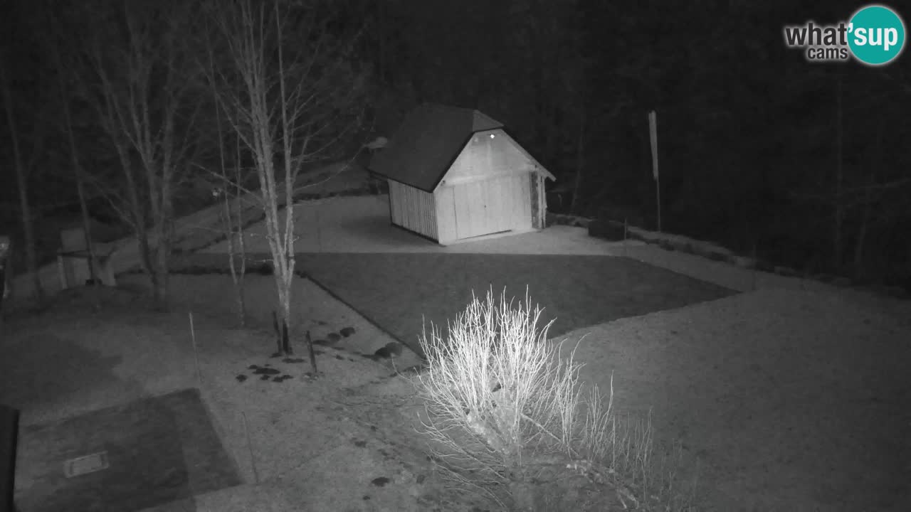 Webcam Lukanja – Water Village | Pohorje Houses