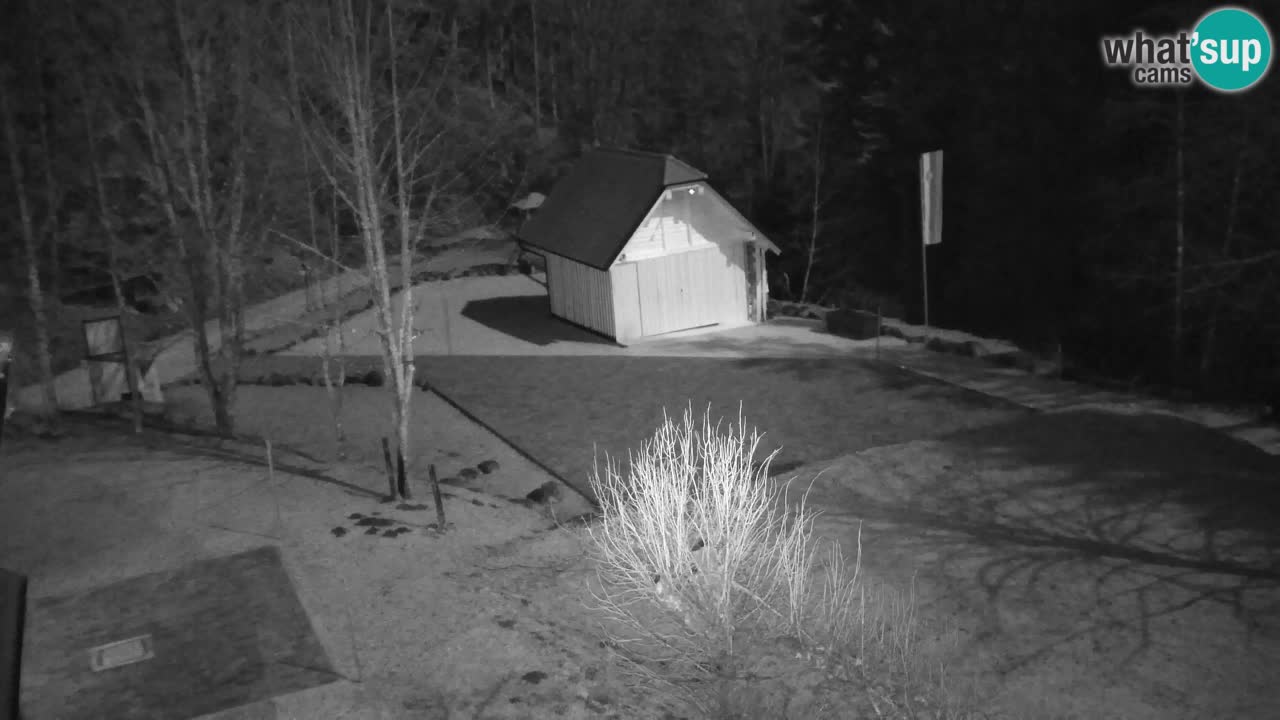 Webcam Lukanja – Water Village | Pohorje Houses