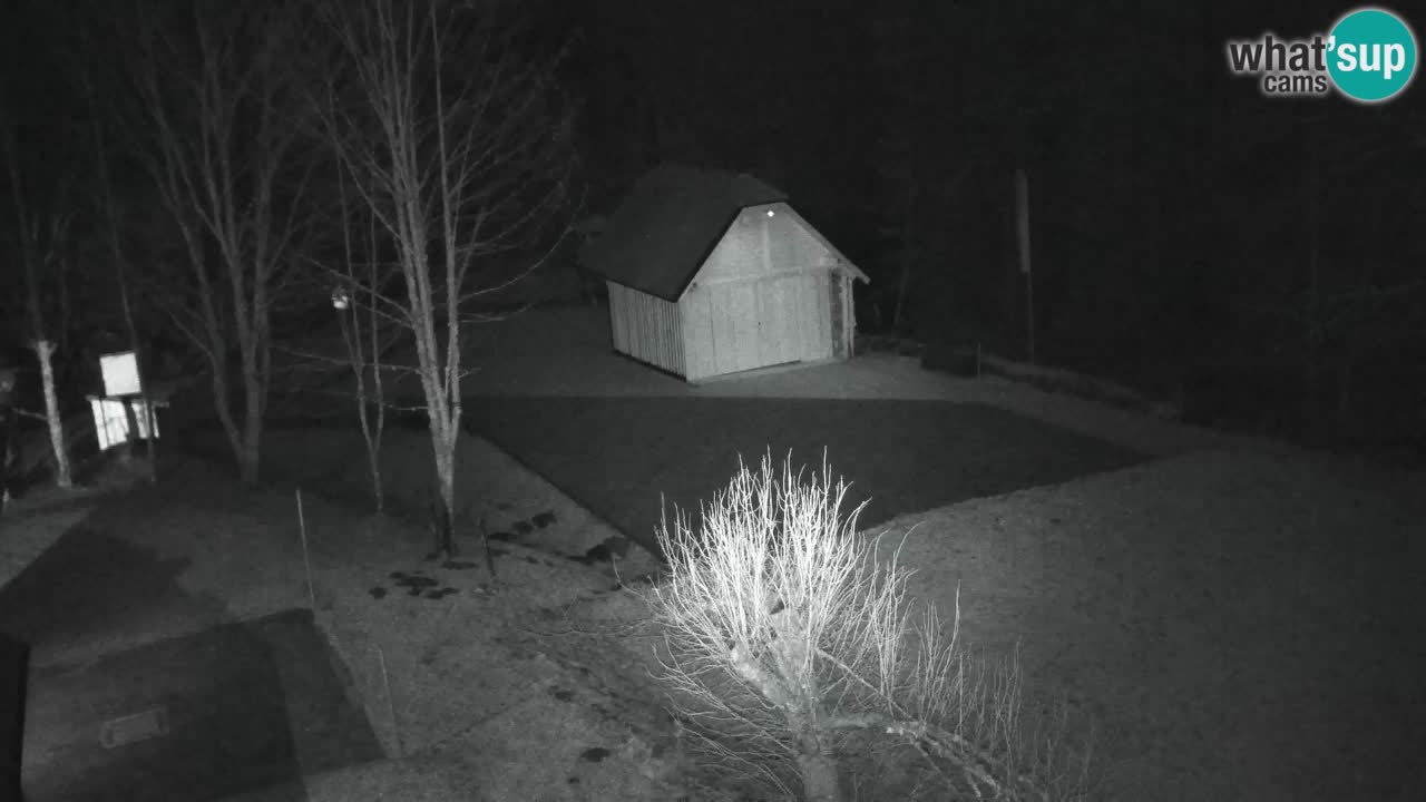 Web kamera Lukanja – Water Village | Pohorje Houses