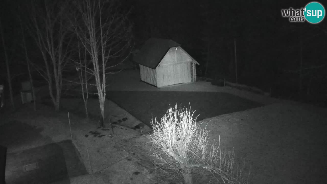 Web kamera Lukanja – Water Village | Pohorje Houses