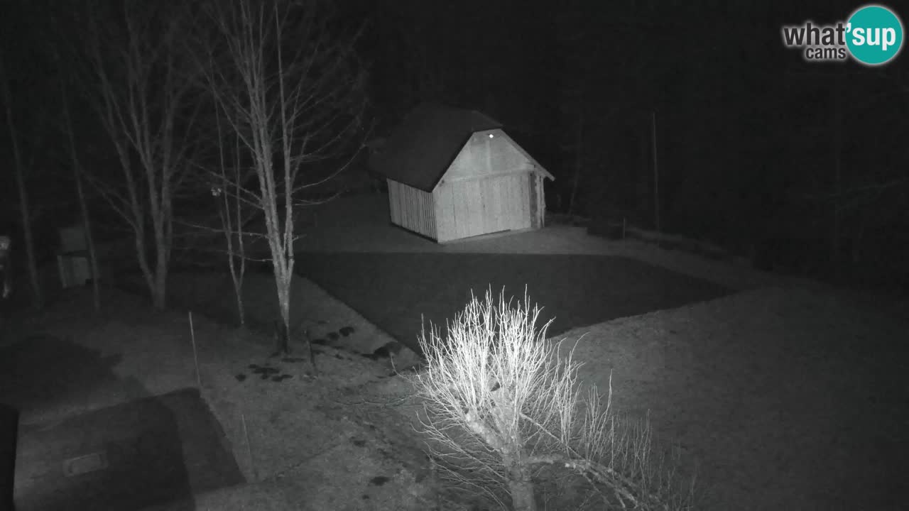 Webcam Lukanja – Pohorje houses a Water village