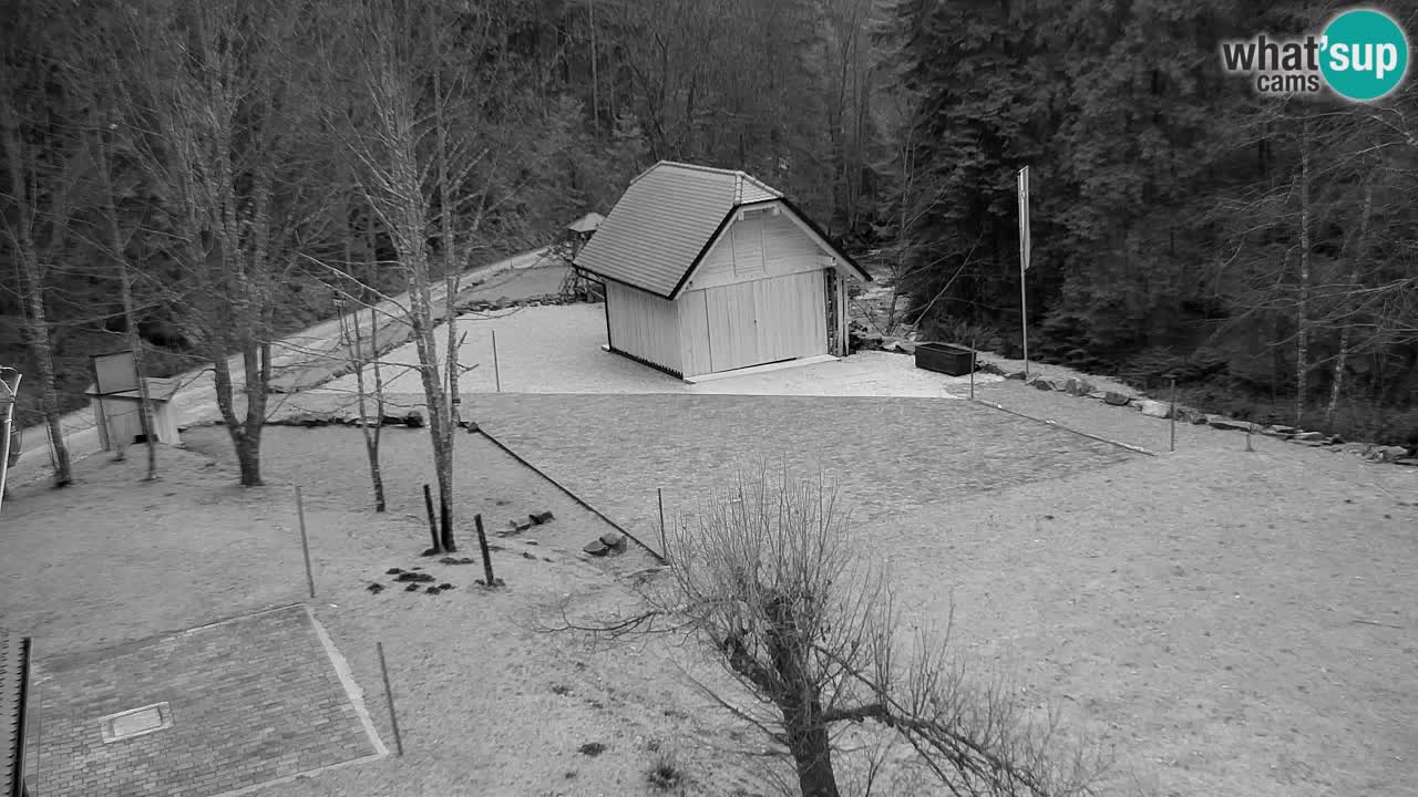 Spletna kamera Lukanja – Water Village | Pohorje Houses