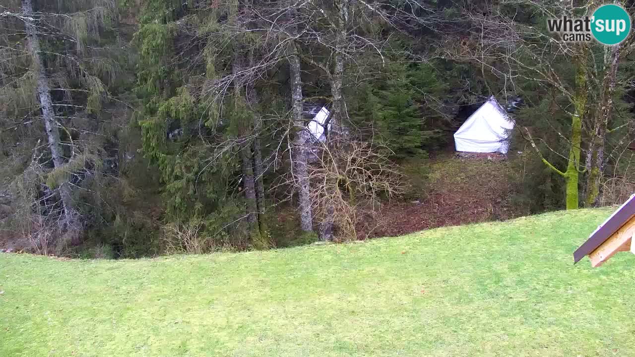 Webcam Lukanja – Water Village | Pohorje Houses