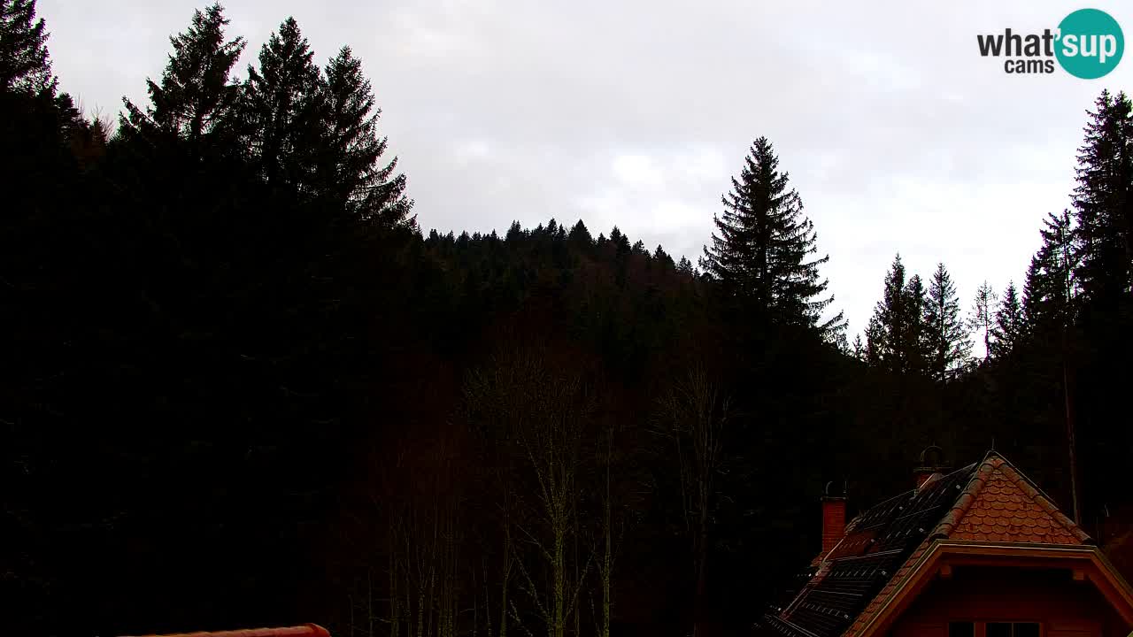 Spletna kamera Lukanja – Water Village | Pohorje Houses