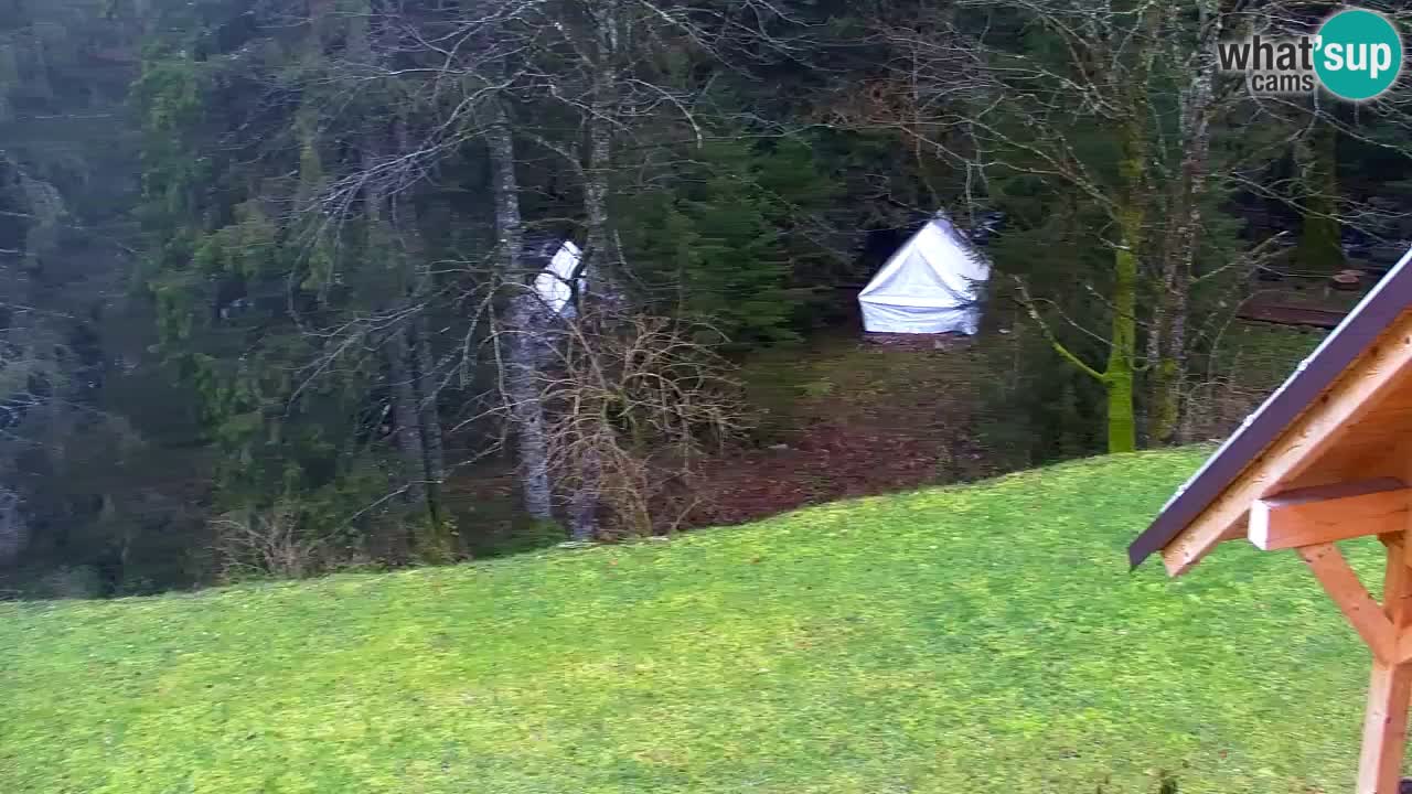 Webcam Lukanja – Water Village | Pohorje Houses