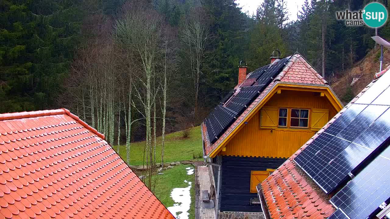 Web kamera Lukanja – Water Village | Pohorje Houses
