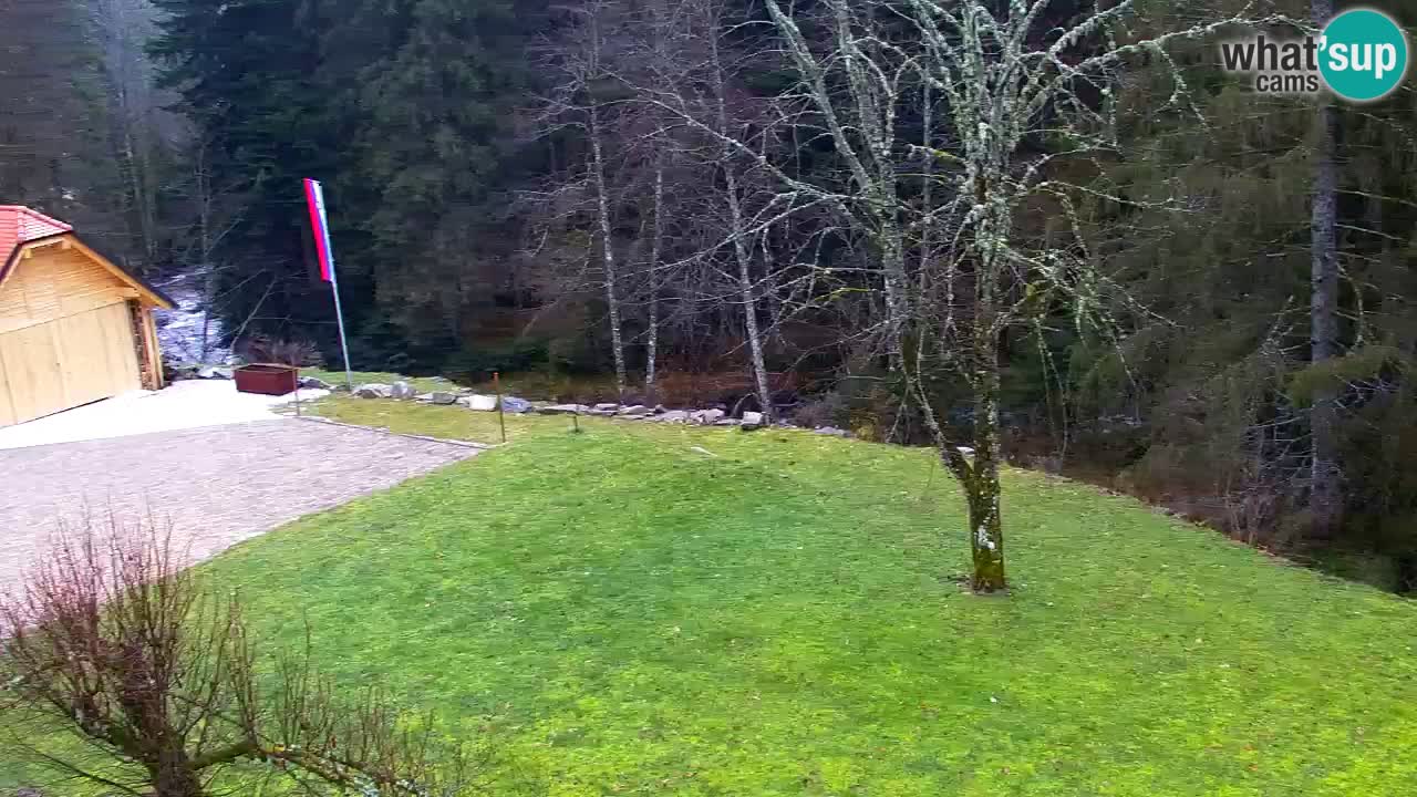 Webcam Lukanja – Water Village | Pohorje Houses