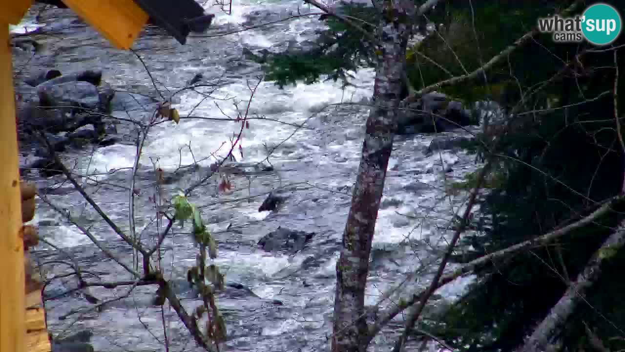 Webcam Lukanja – Water Village | Pohorje Houses