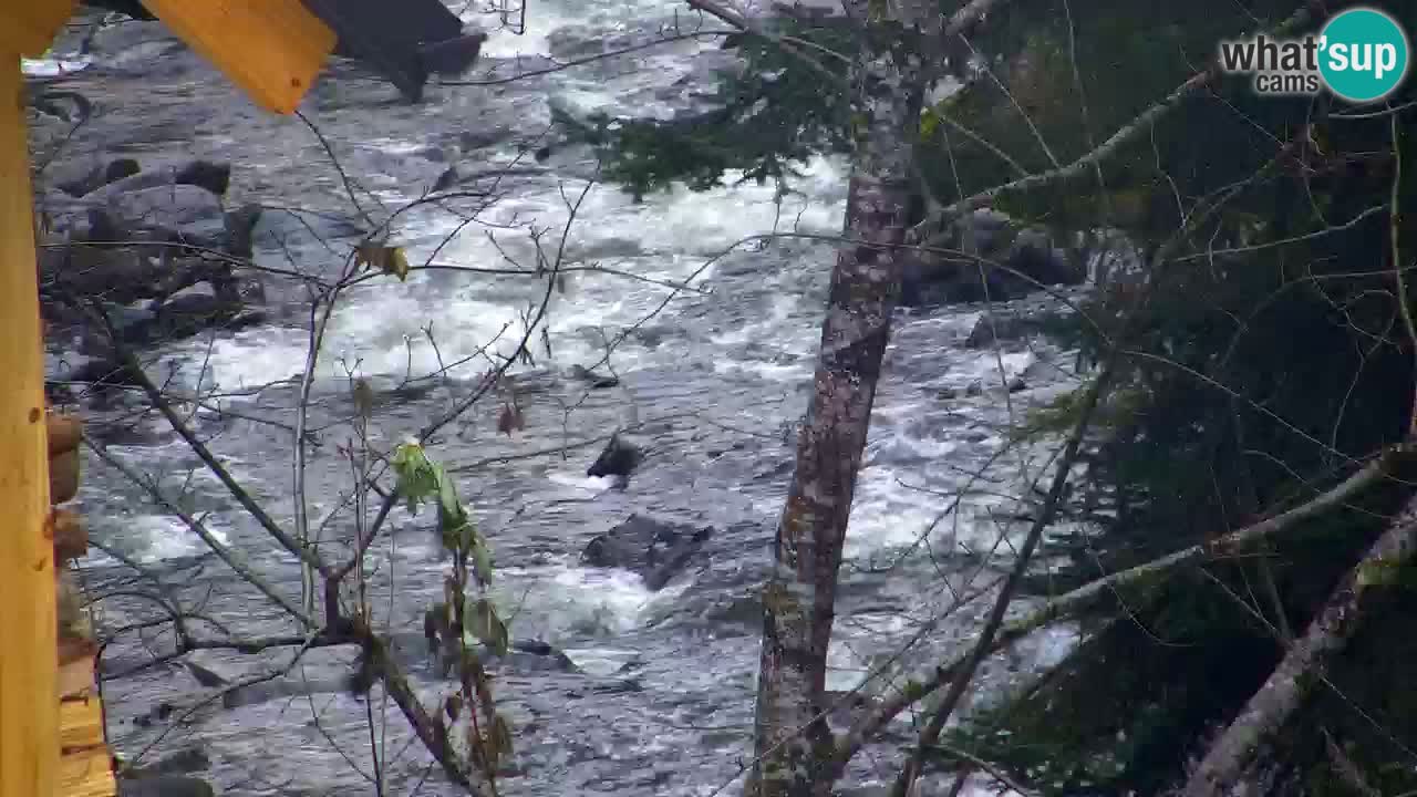 Web kamera Lukanja – Water Village | Pohorje Houses
