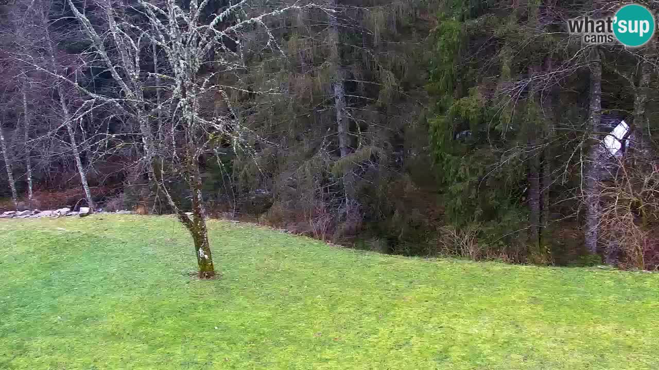 Webcam Lukanja – Pohorje houses a Water village