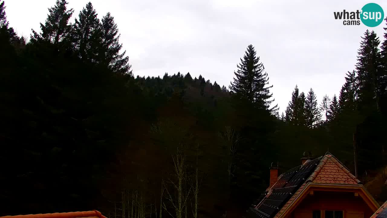 Spletna kamera Lukanja – Water Village | Pohorje Houses