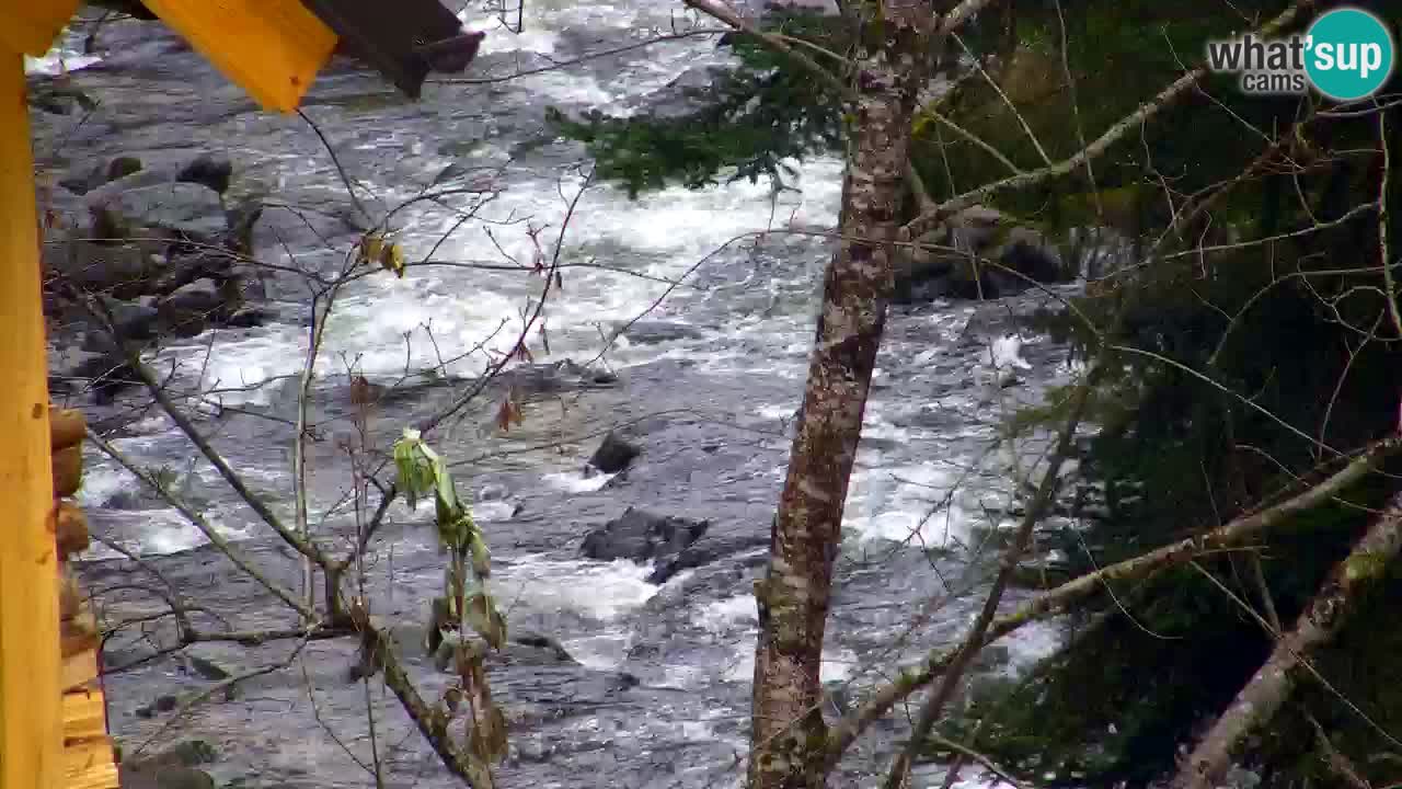 Spletna kamera Lukanja – Water Village | Pohorje Houses