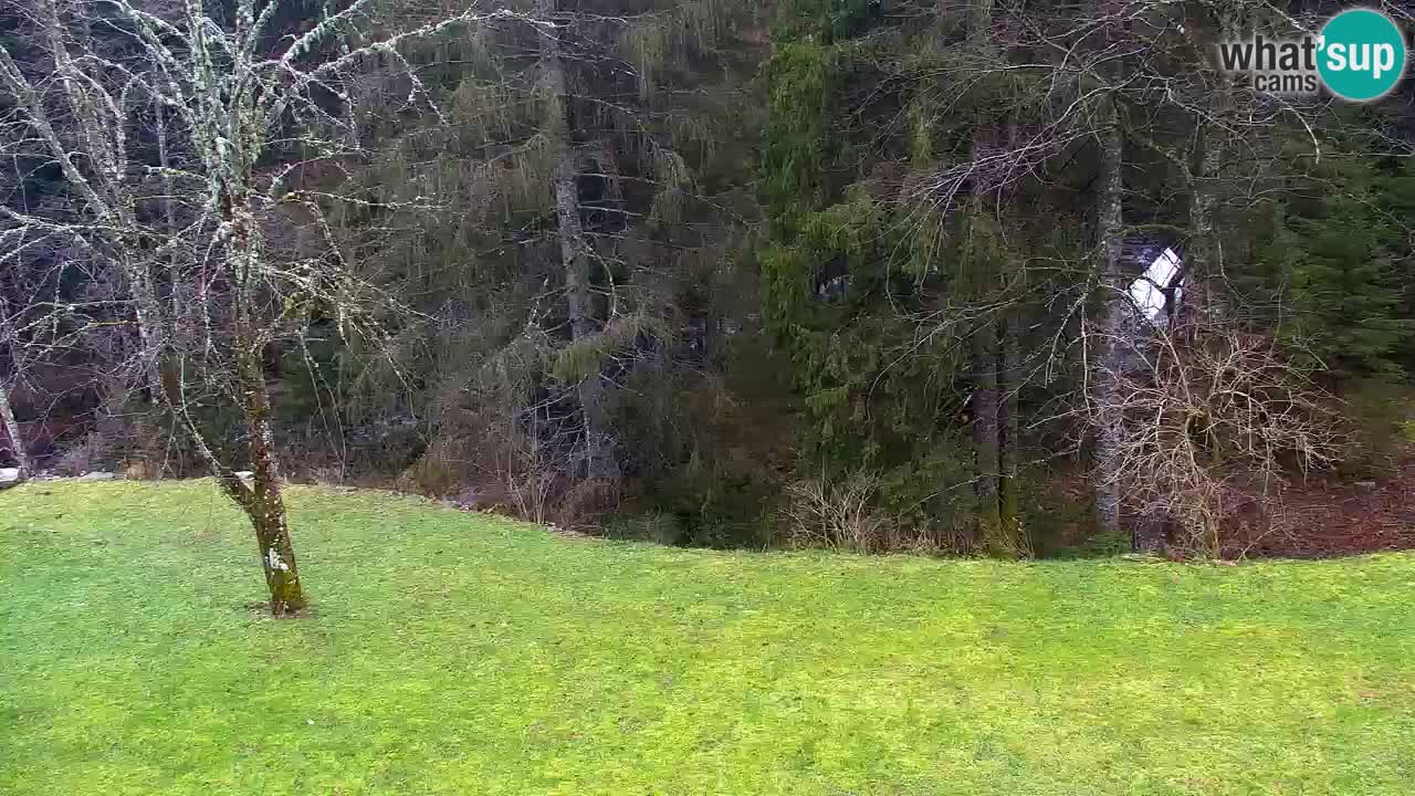 Spletna kamera Lukanja – Water Village | Pohorje Houses