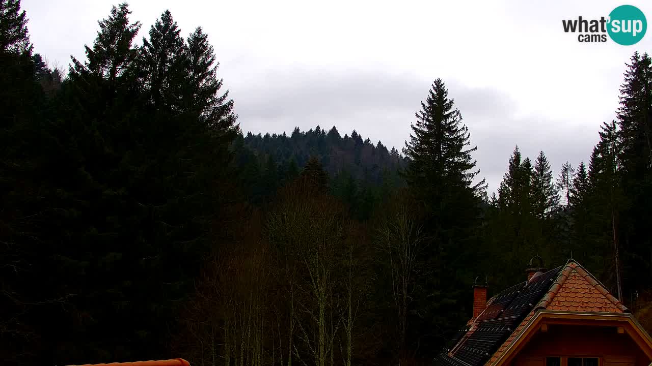 Spletna kamera Lukanja – Water Village | Pohorje Houses