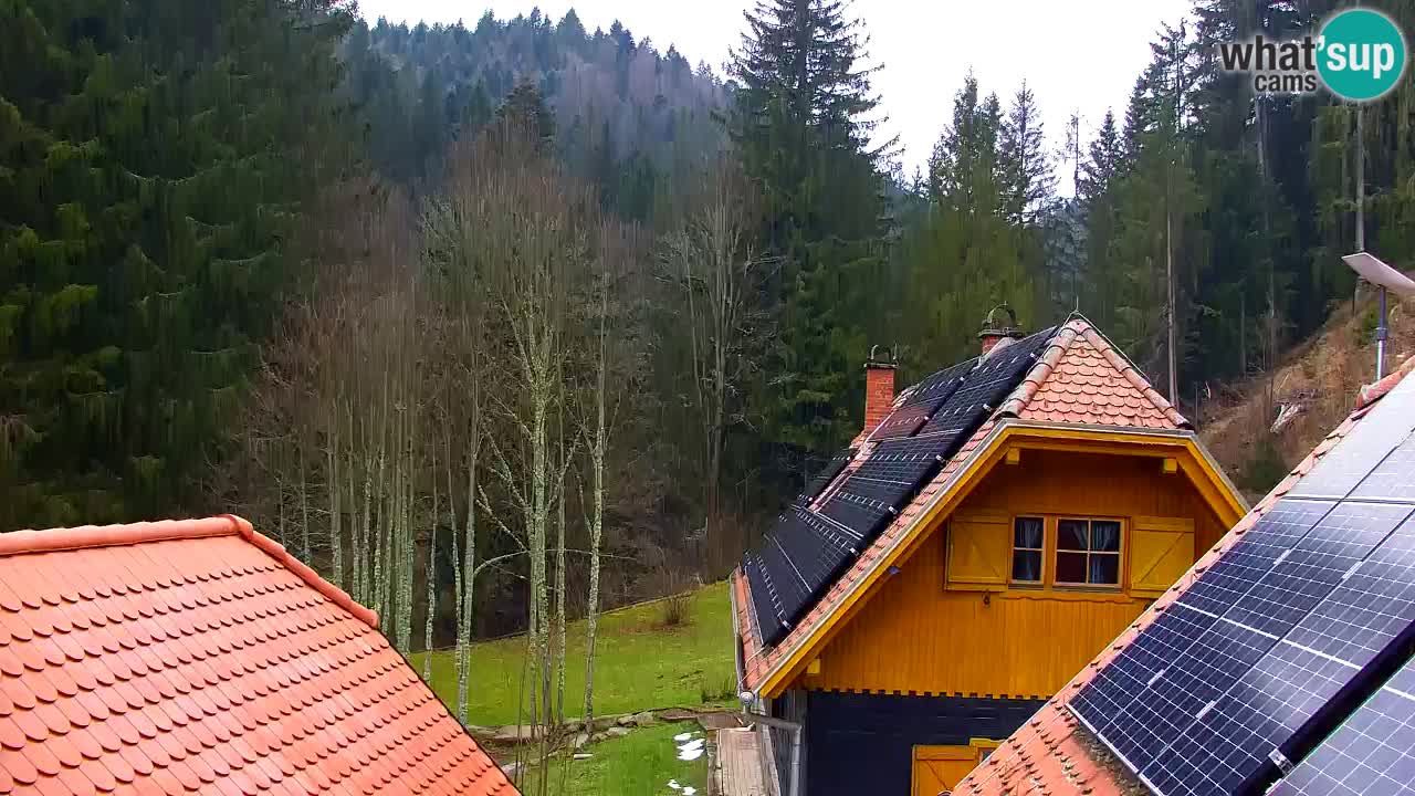 Webcam Lukanja – Water Village | Pohorje Houses