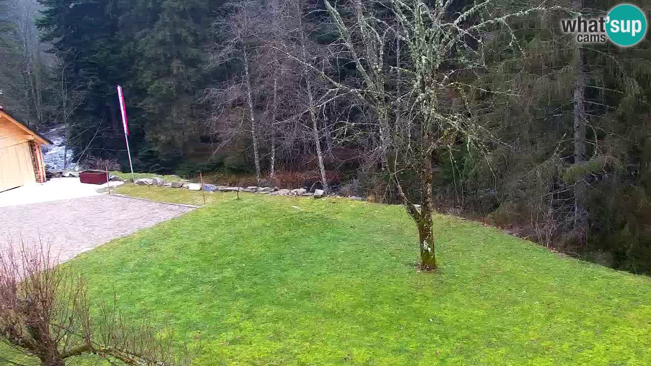 Webcam Lukanja – Pohorje houses a Water village