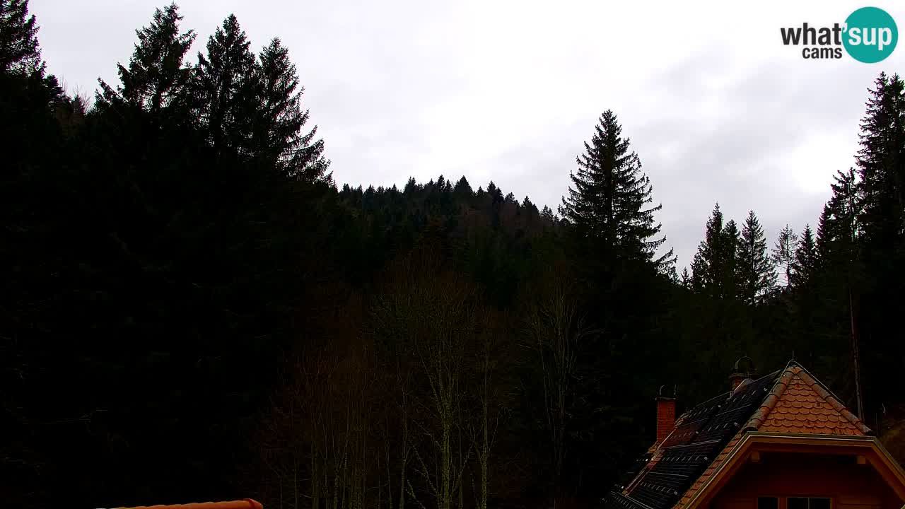 Webcam Lukanja – Water Village | Pohorje Houses