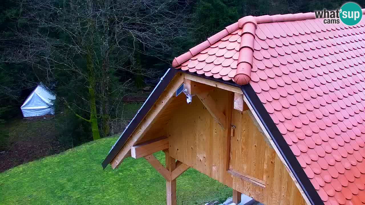 Webcam Lukanja – Pohorje houses a Water village