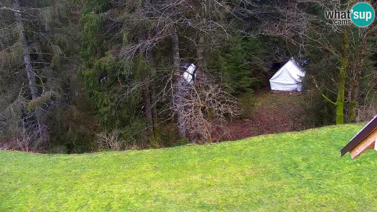 Webcam Lukanja – Water Village | Pohorje Houses