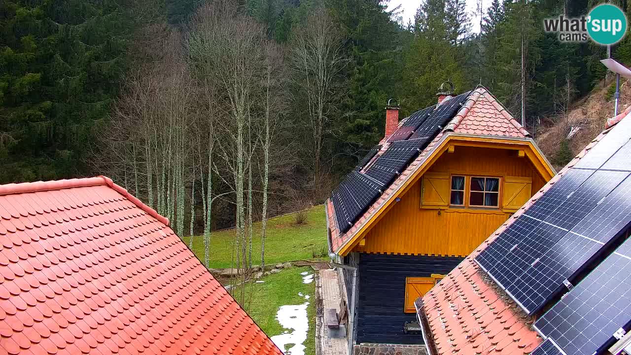 Webcam Lukanja – Water Village | Pohorje Houses