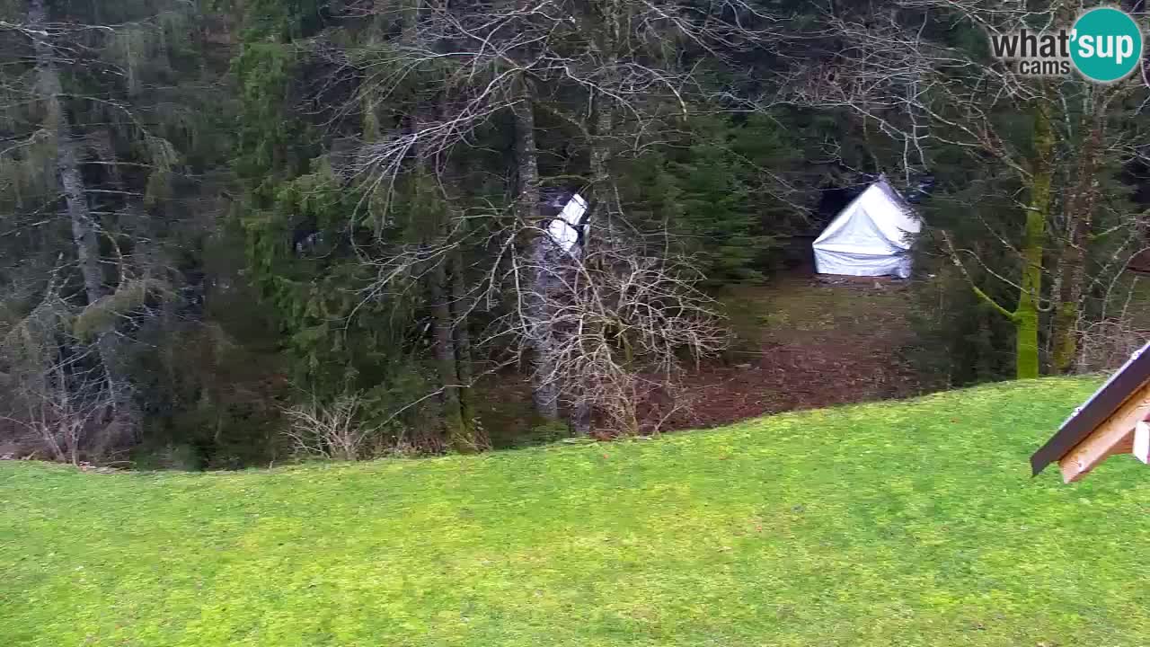 Webcam Lukanja – Water Village | Pohorje Houses