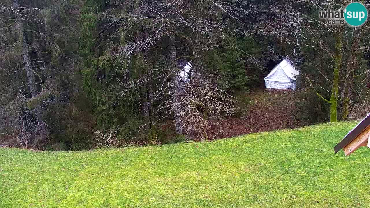 Web kamera Lukanja – Water Village | Pohorje Houses