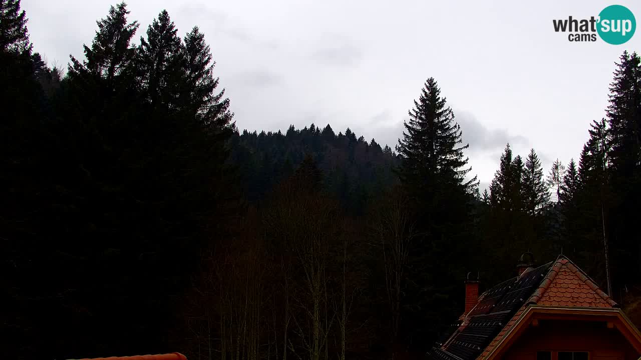 Webcam Lukanja – Pohorje houses a Water village