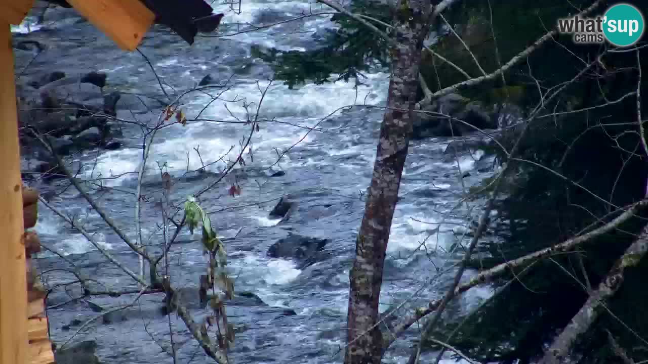 Web kamera Lukanja – Water Village | Pohorje Houses