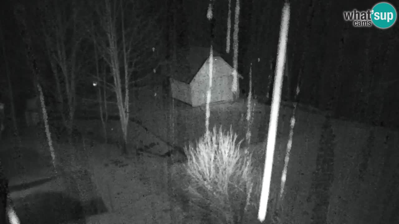 Webcam Lukanja – Pohorje houses a Water village