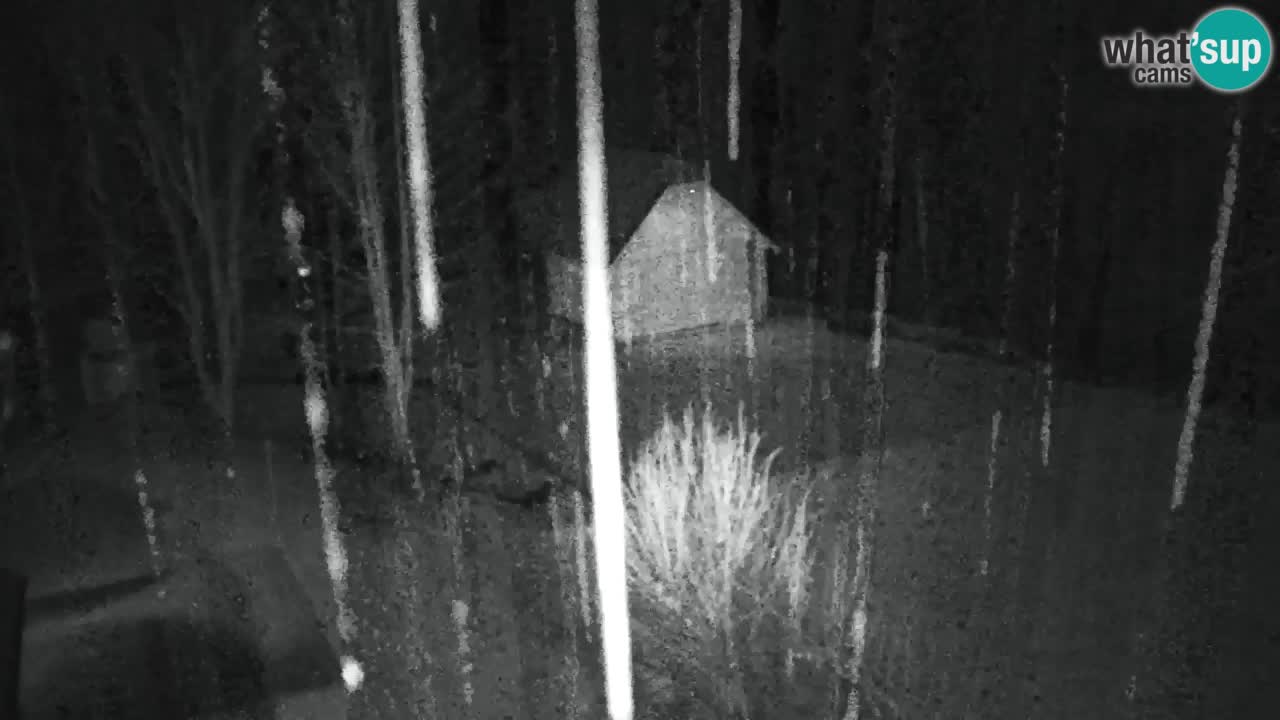 Spletna kamera Lukanja – Water Village | Pohorje Houses