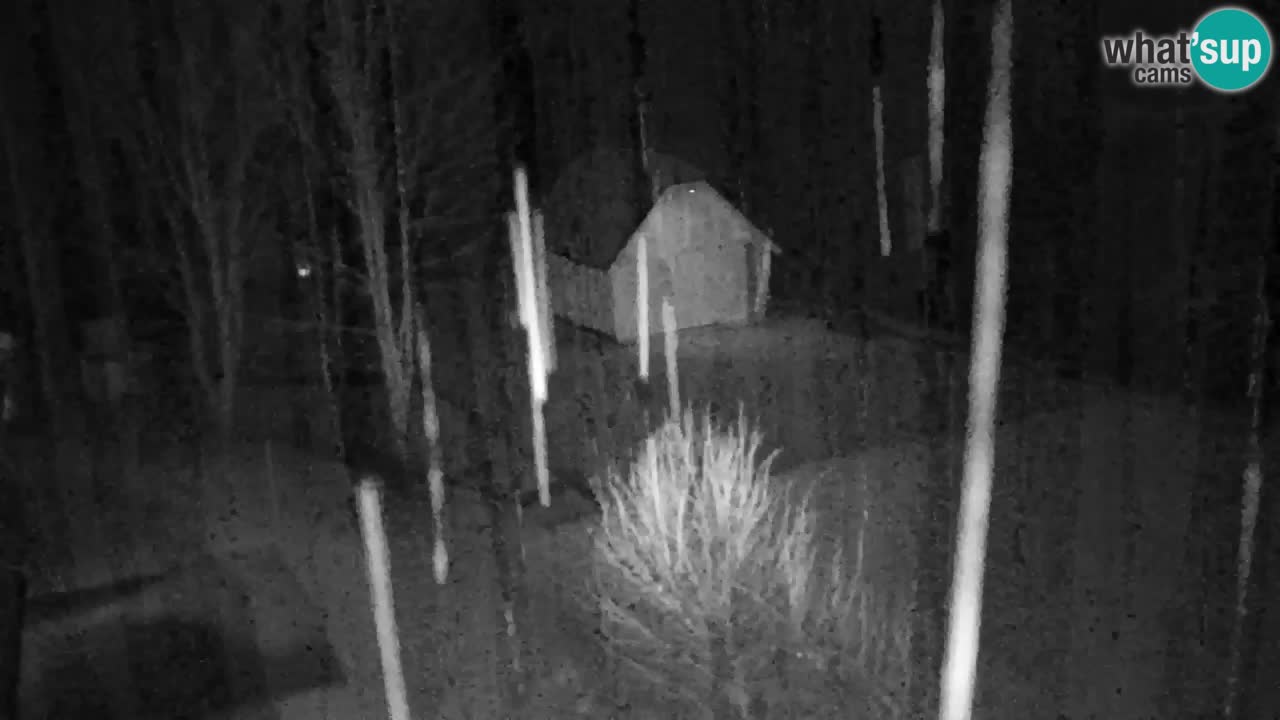 Webcam Lukanja – Water Village | Pohorje Houses