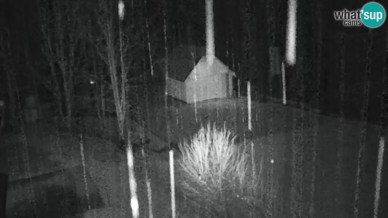 Spletna kamera Lukanja – Water Village | Pohorje Houses