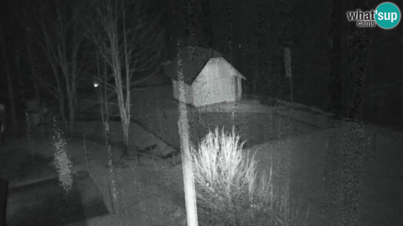 Webcam Lukanja – Pohorje houses a Water village