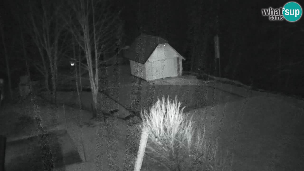 Webcam Lukanja – Water Village | Pohorje Houses