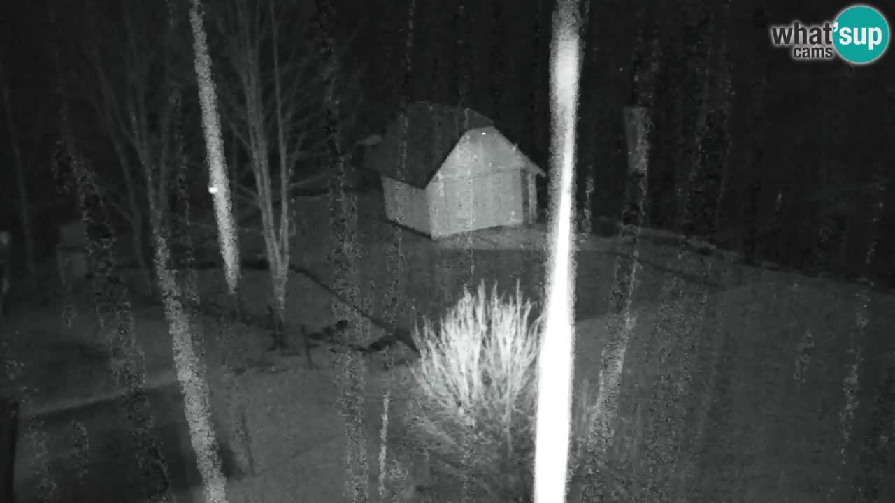 Webcam Lukanja – Water Village | Pohorje Houses