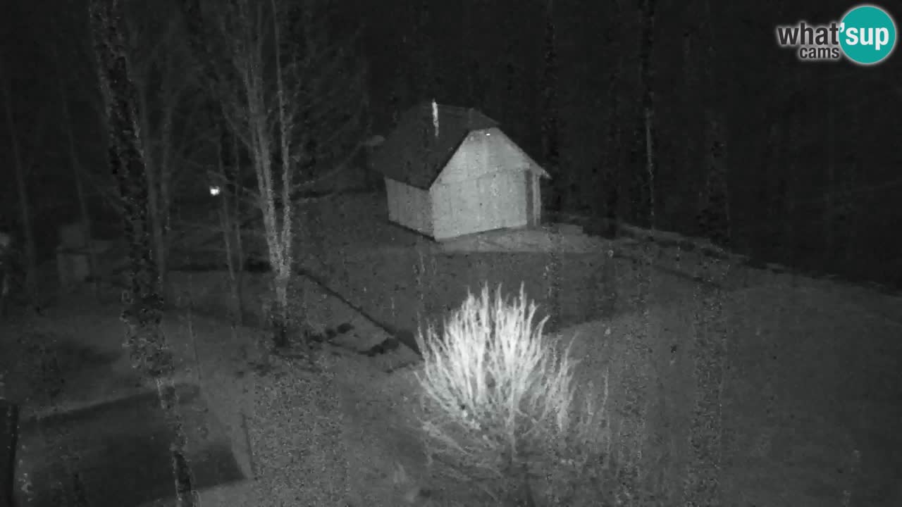 Webcam Lukanja – Pohorje houses a Water village