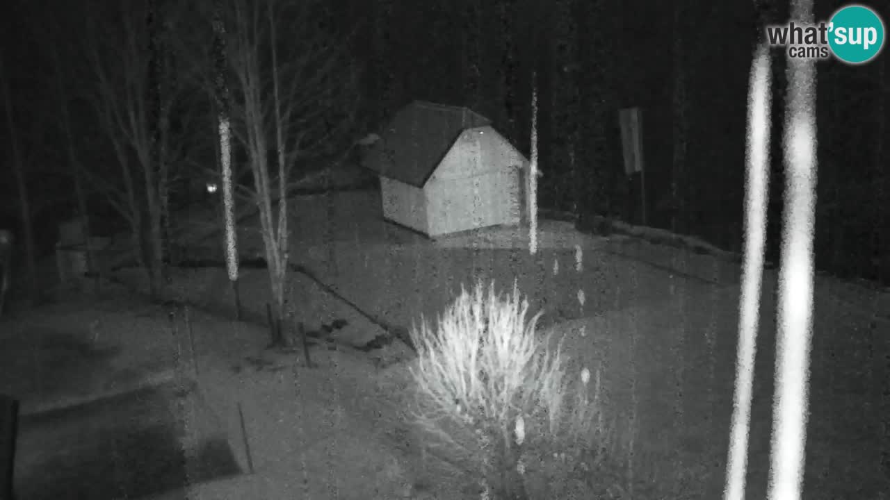 Webcam Lukanja – Water Village | Pohorje Houses