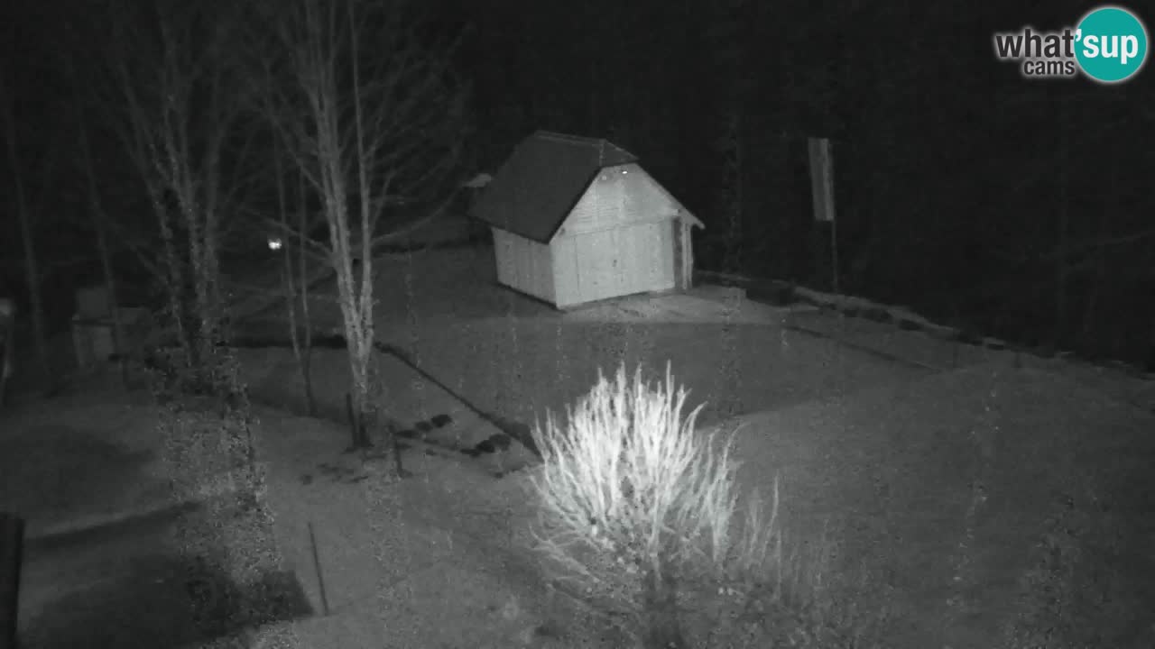 Webcam Lukanja – Water Village | Pohorje Houses