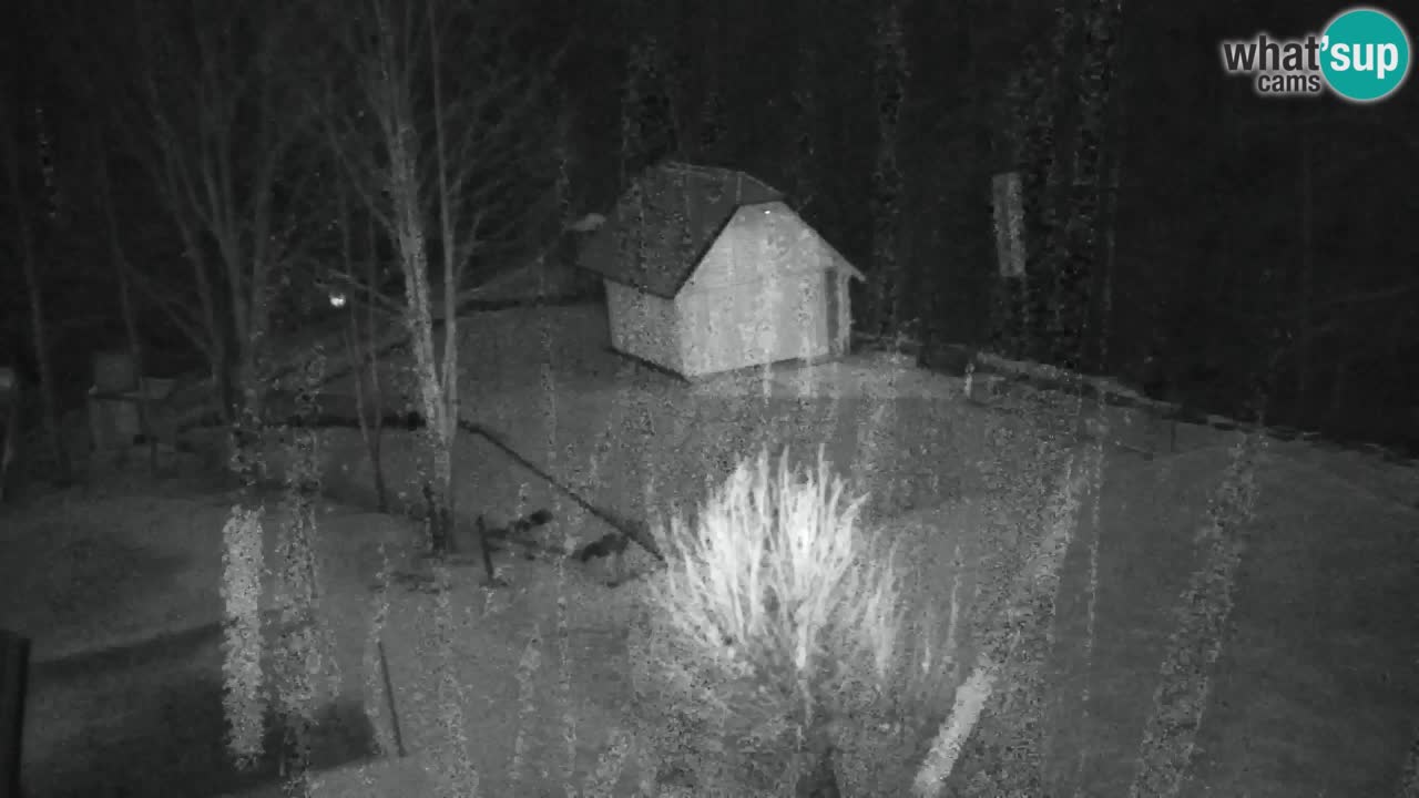 Webcam Lukanja – Water Village | Pohorje Houses