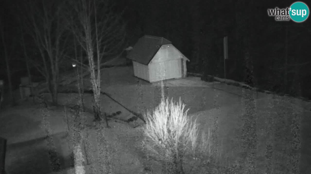 Webcam Lukanja – Pohorje houses a Water village