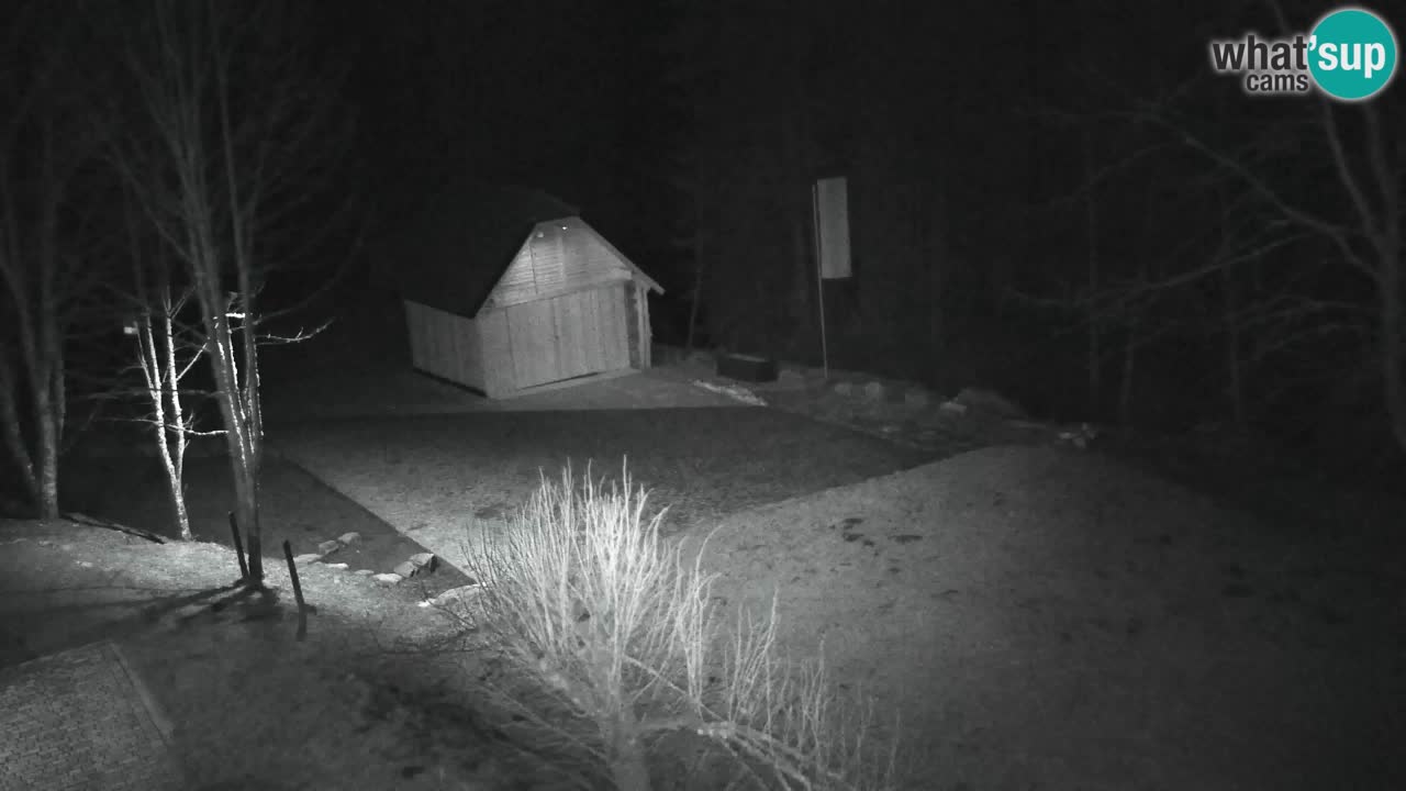 Webcam Lukanja – Pohorje houses a Water village