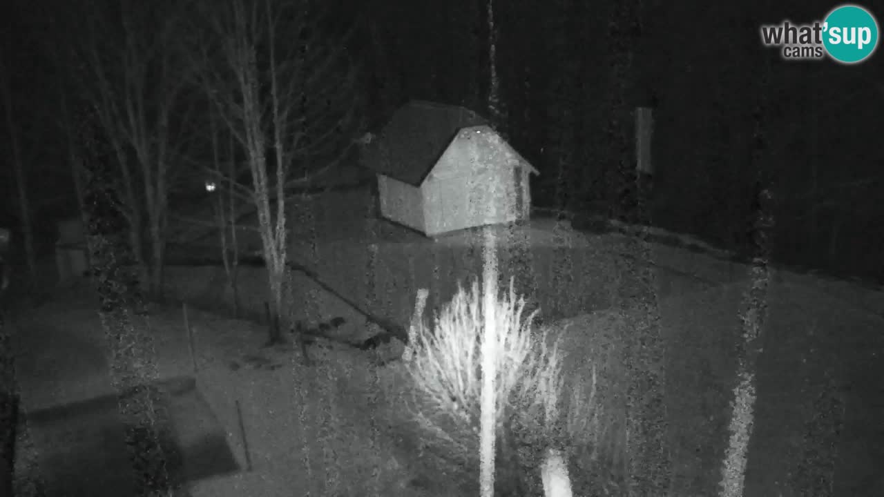 Webcam Lukanja – Water Village | Pohorje Houses