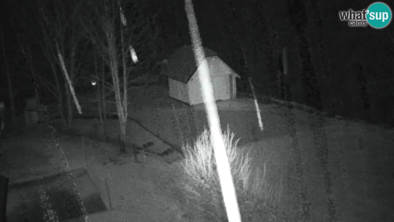 Webcam Lukanja – Water Village | Pohorje Houses