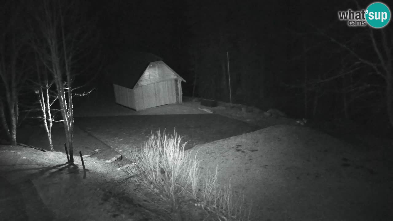 Webcam Lukanja – Water Village | Pohorje Houses