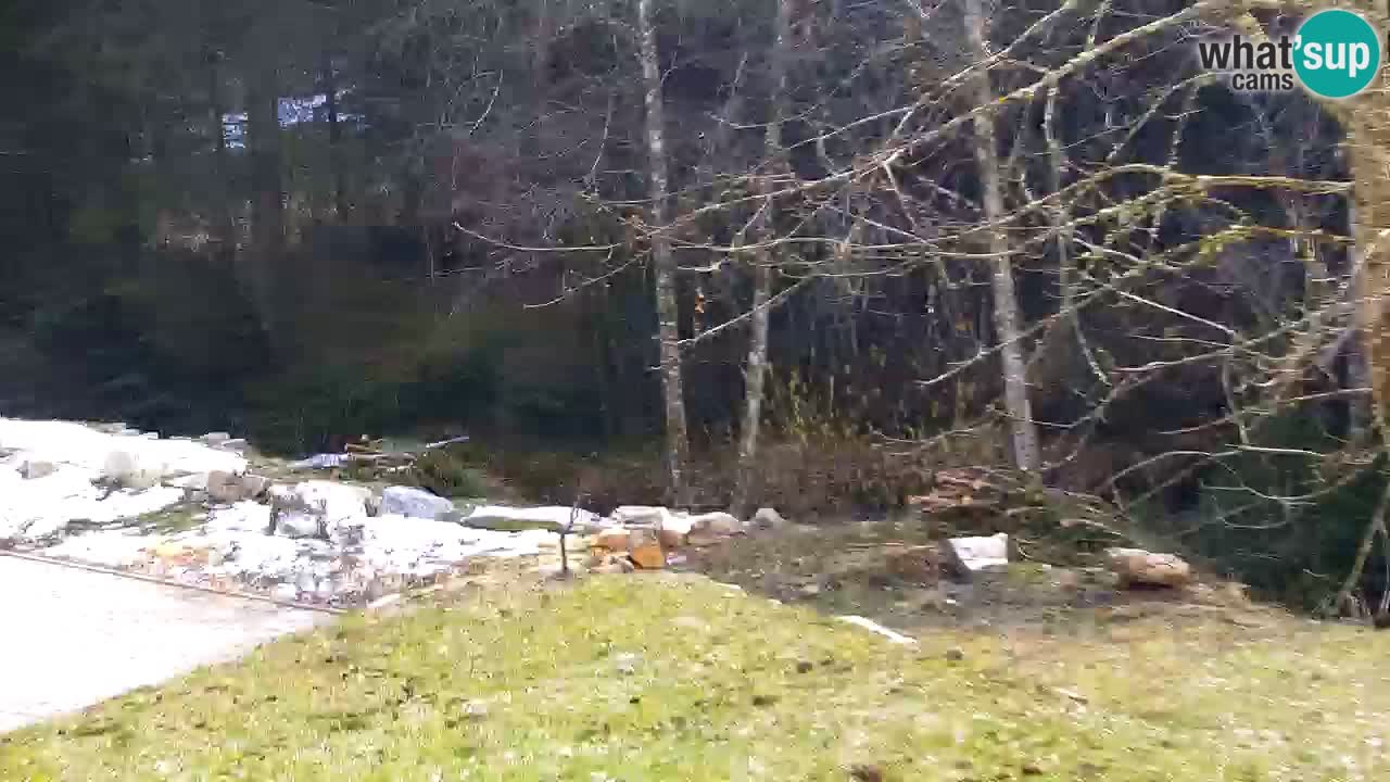 Webcam Lukanja – Water Village | Pohorje Houses