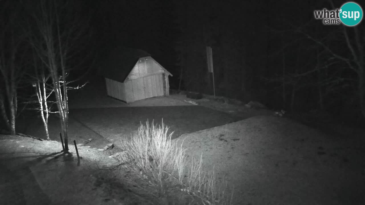 Webcam Lukanja – Water Village | Pohorje Houses