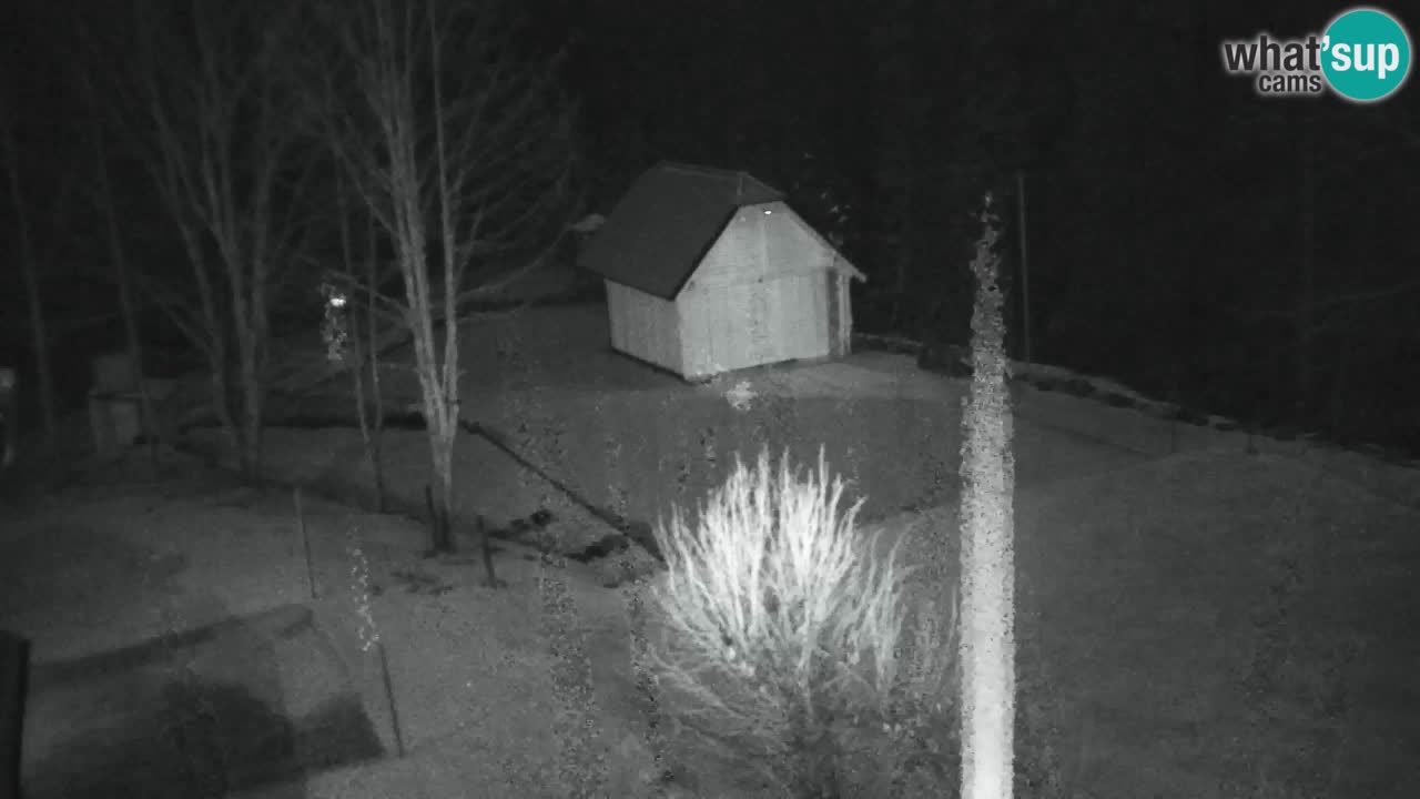 Webcam Lukanja – Water Village | Pohorje Houses