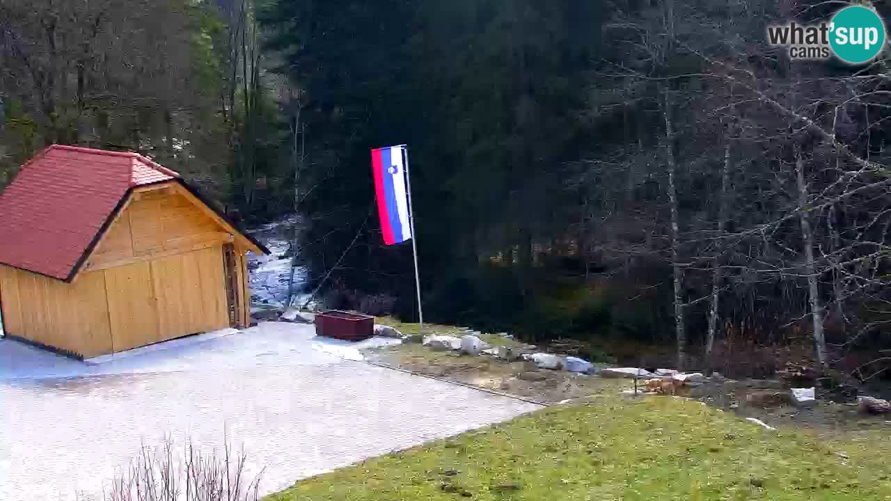 Webcam Lukanja – Water Village | Pohorje Houses